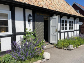 Elins Lycka i Viken, Viken